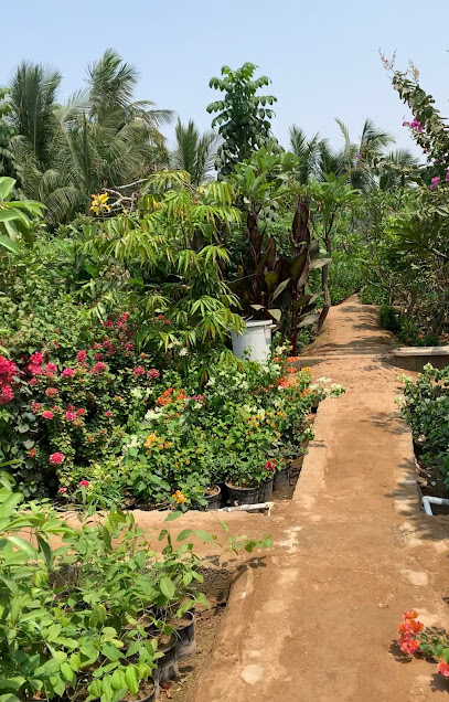 مركز الحدائق ( مشتل ) - Saudi Arabia|Jeddah 23521|Al Zahra|H4RG+MPW