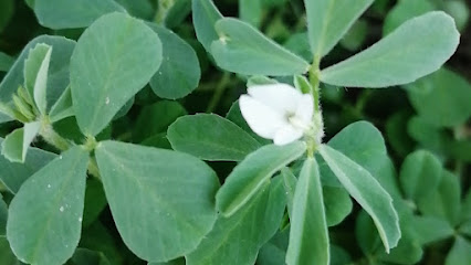 Star World Holidays Travel and Tourism - Riyadh - +966 55 873 8779