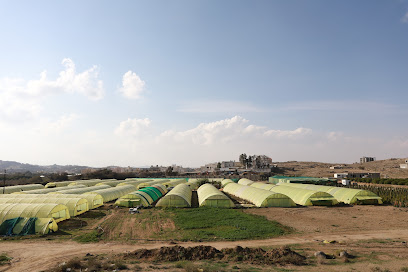 مشتل السلطانة - Abha - +966 55 574 3534