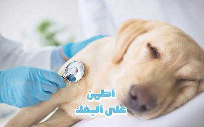 Hills vet -  - +966 56 730 4898