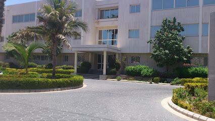 SUIDO KIKO MIDDLE EAST - Jeddah - +966 12 660 8427