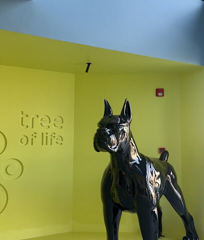 Tree of Life Veterinary Clinic - Jeddah - +966 800 244 4332