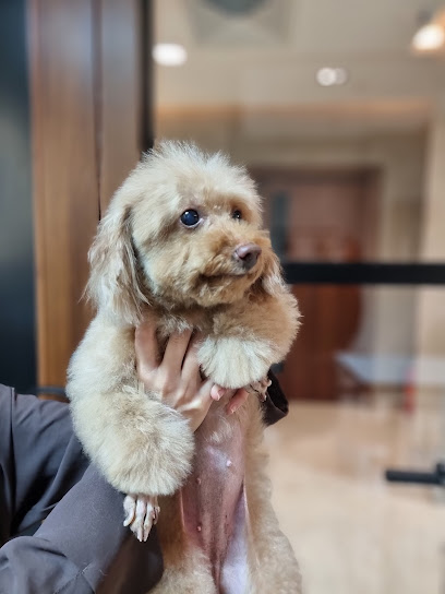 Happy Pet Vet Clinc - Saudi Arabia|Riyadh 13326|Alyasmin|Abi Bakr As Siddiq Rd