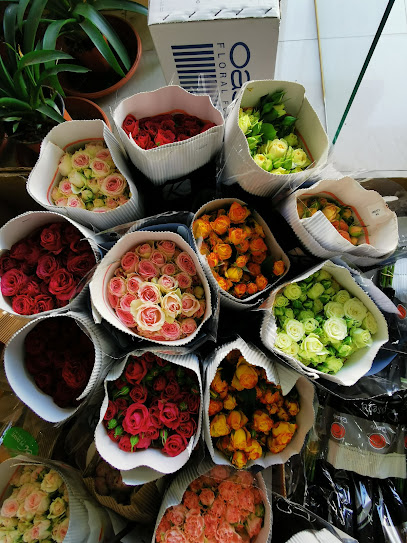 Azhar Rabeeh - Saudi Arabia|7606، جازان 82722 2763،