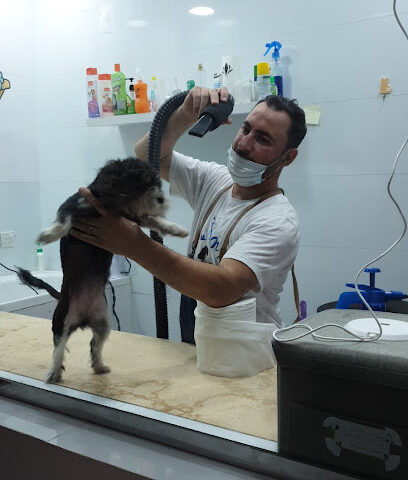 عيادة لكي بيت البيطرية - Jeddah - +966 58 362 6436