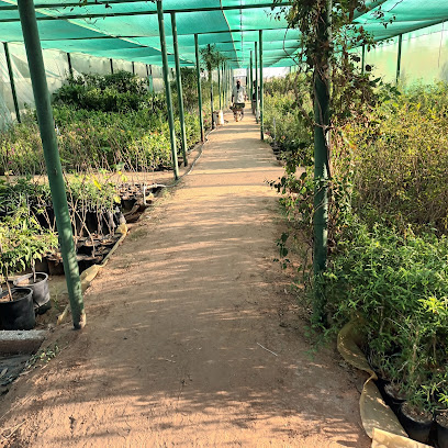 مشتل شاتل بمنطقة القصيم - Buraydah - +966 50 428 3361