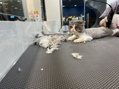 سوبر بتس - SuperPets - Mecca - +966 58 188 3321